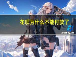 花呗为什么不能付款了