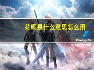 花呗是什么意思怎么用（花呗是什么意思）