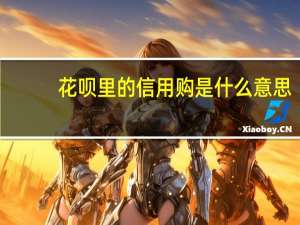 花呗里的信用购是什么意思（花呗里的信用购是什么意思）