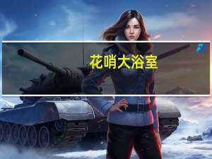 花哨大浴室(关于花哨大浴室简述)