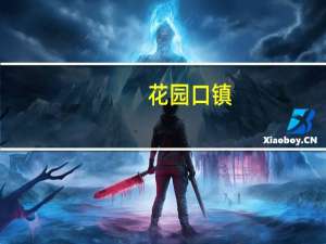 花园口镇(关于花园口镇简述)
