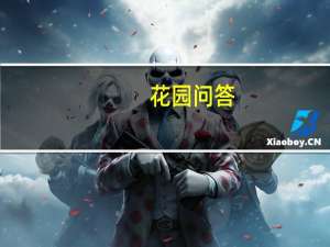 花园问答：锦葵最佳种植时间是什么时候？