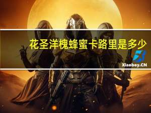 花圣 洋槐蜂蜜卡路里是多少