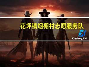 花坪镇烟棚村志愿服务队(关于花坪镇烟棚村志愿服务队简述)