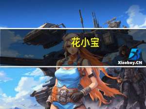花小宝(关于花小宝简述)
