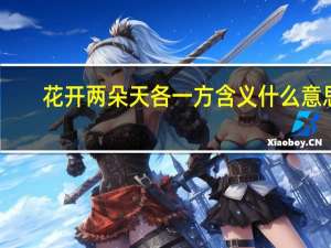 花开两朵天各一方含义什么意思（花开两朵天各一方）