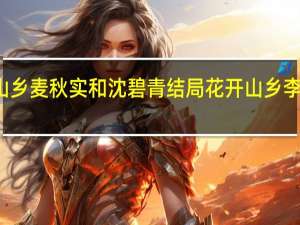 花开山乡麦秋实和沈碧青结局 花开山乡李副县长结局