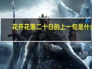 花开花落二十日的上一句是什么