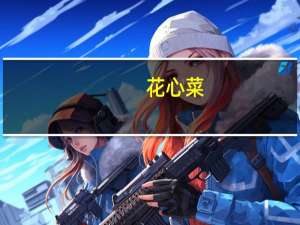 花心菜(关于花心菜简述)