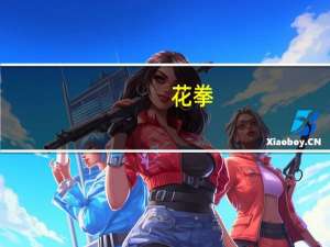 花拳(关于花拳简述)