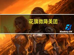 花旗微降美团(03690.HK)目标价至214港元 评级买入