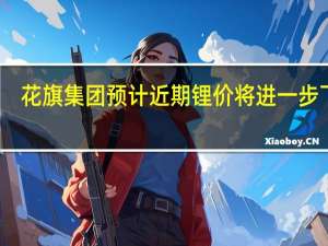 花旗集团预计近期锂价将进一步下行