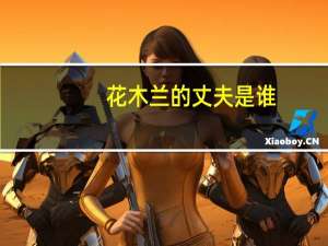 花木兰的丈夫是谁