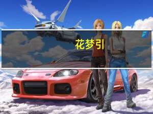 花梦引(关于花梦引简述)