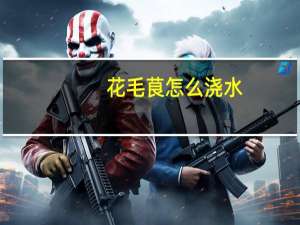 花毛茛怎么浇水