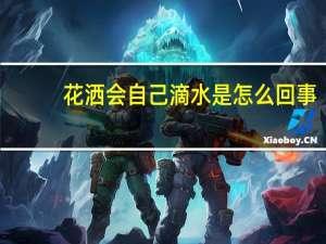 花洒会自己滴水是怎么回事