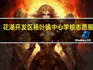 花湖开发区杨叶镇中心学校志愿服务队(关于花湖开发区杨叶镇中心学校志愿服务队简述)