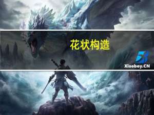 花状构造(关于花状构造简述)