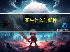 花生什么时候种