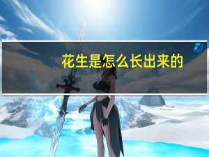 花生是怎么长出来的