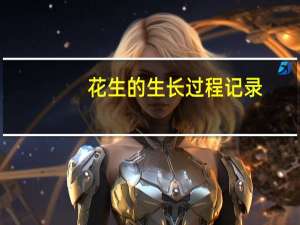 花生的生长过程记录