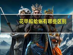 花甲和蛤蜊有哪些区别