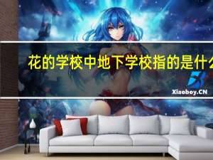 花的学校中地下学校指的是什么