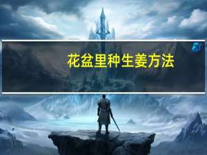 花盆里种生姜方法