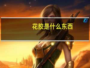 花胶是什么东西