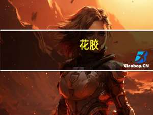 花胶（关于花胶的介绍）