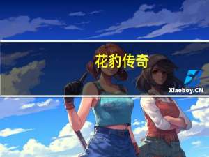 花豹传奇(关于花豹传奇简述)