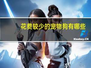 花费较少的宠物狗有哪些