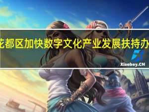 花都区加快数字文化产业发展扶持办法 试行(关于花都区加快数字文化产业发展扶持办法 试行简述)