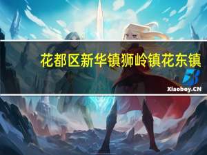 花都区新华镇狮岭镇花东镇,哪个镇建设、环境比较好谢谢 广州市花都区新华镇