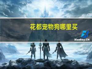 花都宠物狗哪里买