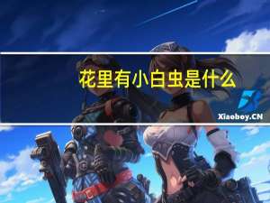 花里有小白虫是什么