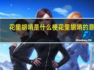 花里胡哨是什么梗 花里胡哨的意思