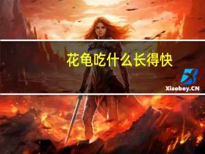 花龟吃什么长得快
