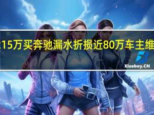 花215万买奔驰漏水折损近80万 车主维权引热议