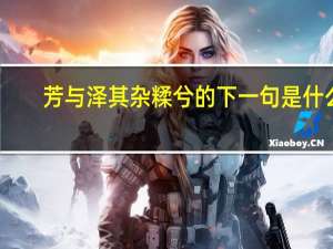 芳与泽其杂糅兮的下一句是什么