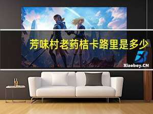 芳味村 老药桔卡路里是多少