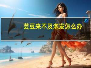 芸豆来不及泡发怎么办