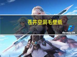 苍井空洞毛壁纸（关于苍井空洞毛壁纸的介绍）