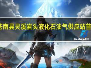 苍南县灵溪岩头液化石油气供应站 普通合伙(关于苍南县灵溪岩头液化石油气供应站 普通合伙简述)