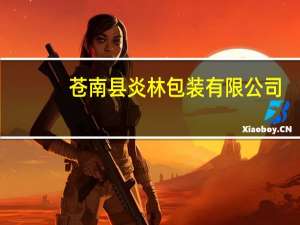 苍南县炎林包装有限公司(关于苍南县炎林包装有限公司简述)