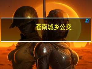 苍南城乡公交(关于苍南城乡公交简述)