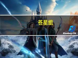 苍星组(关于苍星组简述)