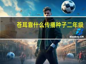 苍耳靠什么传播种子二年级（苍耳靠什么传播种子）