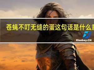 苍蝇不叮无缝的蛋这句话是什么意思
