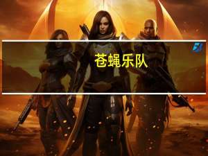 苍蝇乐队(关于苍蝇乐队简述)